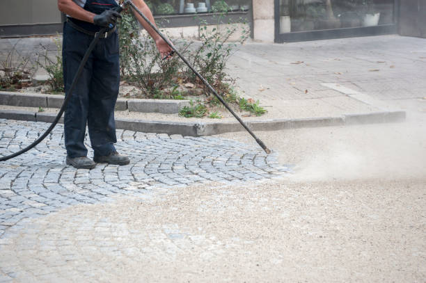 Best Driveway Pressure Washing  in Cordova, AL