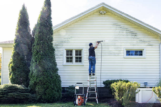 Best House Exterior Washing  in Cordova, AL
